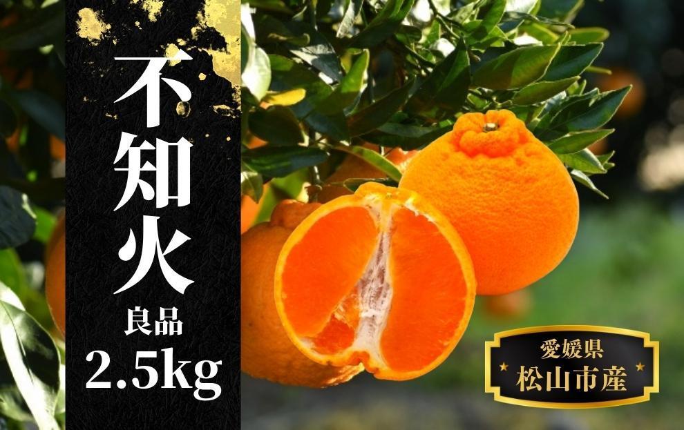 【不知火】良品約2.5kg ＜2026年2月末～4月頭頃発送＞