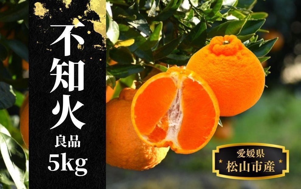 【不知火】良品約5kg ＜2026年2月末～4月頭頃発送＞