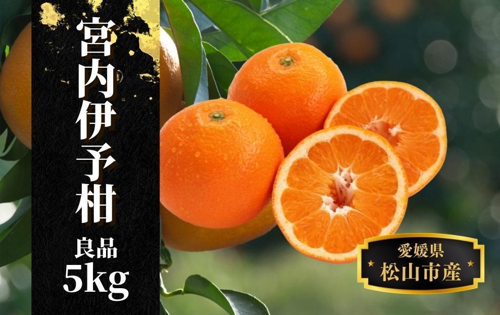 【宮内伊予柑】良品約5kg ＜2026年2月～3月中旬頃発送＞
