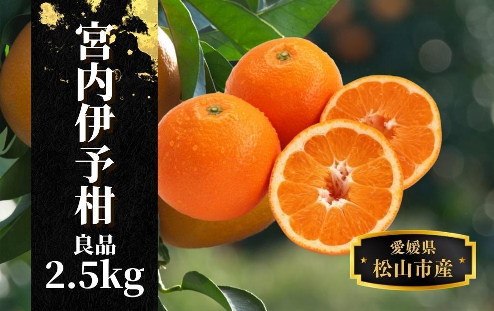 【宮内伊予柑】良品約2.5kg ＜2026年2月～3月中旬頃発送＞