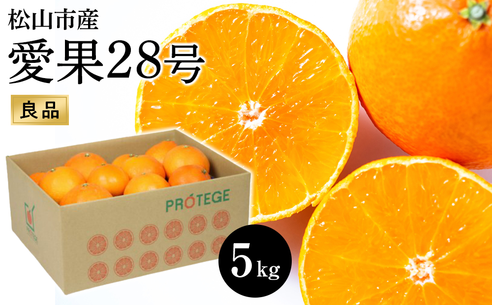 愛果28号 (紅まどんな と同品種) 約5kg 良品 【2025年11月から順次発送】