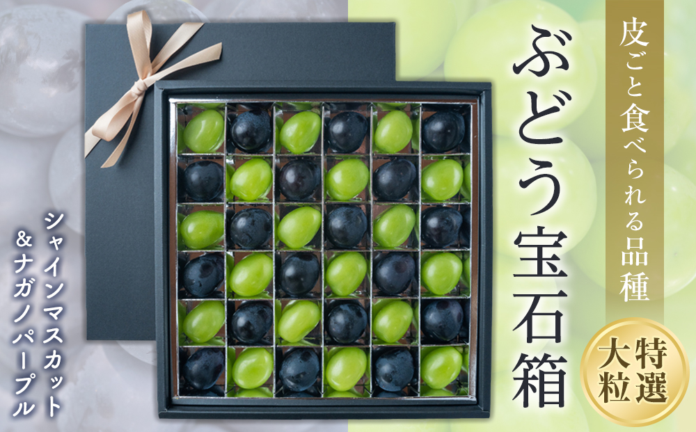 マスカット 2025収穫分先行予約 シャインマスカット ぶどう 大粒 特選 ぶどう宝石箱 ギフト ナガノパープル 約 600g 18粒 ずつ 1箱 36粒