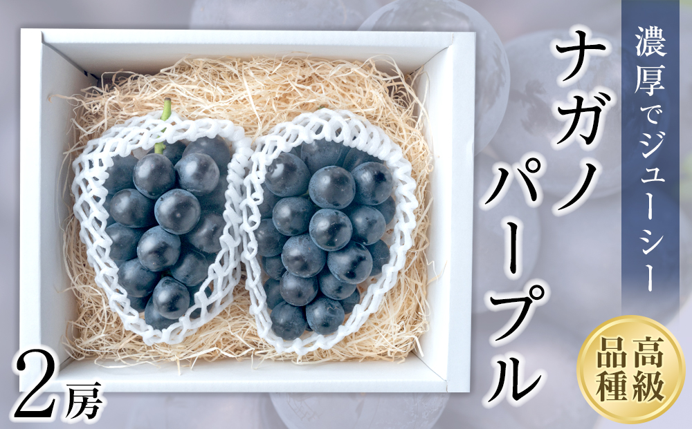 【2025収穫分先行予約】 ぶどう ナガノパープル 2房 約 1.1kg 旬 時期 愛媛