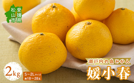 みかん 媛小春 2kg 【2026年3月上旬から発送予定】 愛媛 中島産 希望の島