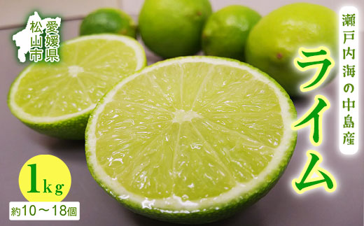ライム 国産 1kg 小玉～中玉【10月上旬から発送予定】  | 柑橘 ライム  ライム 柑橘 中島 ライム 柑橘 ライム  ライム 愛媛県産 ライム 柑橘 ライム  ライム