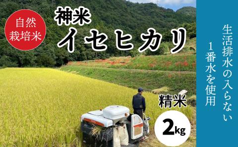 [2023年収穫米 精米]自然栽培米 "神米" イセヒカリ 2キロ 精米 白米