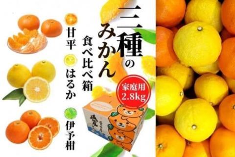 三種の みかん 食べ比べ箱 甘平 はるか 宮内伊予柑 (家庭用)約2.8kg [2025年2024年2月頃発送]