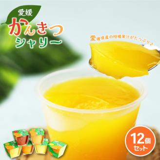 えひめ 柑橘 シャリー 12個 果汁 シャーベット ゼリー 柑橘 ゼリー みかん 果物ゼリー スイーツ 愛媛県 松山市