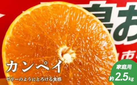 [2月上旬頃より発送] 先行予約 カンペイ 甘平 約 2.5kg 家庭用 みかん 柑橘 果物 フルーツ 松山市 愛媛県