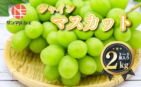 サンマルシェ シャインマスカット 約2kg ( 3〜5 房 ) 青秀 以上 冷蔵 愛媛県産 松山 伊台