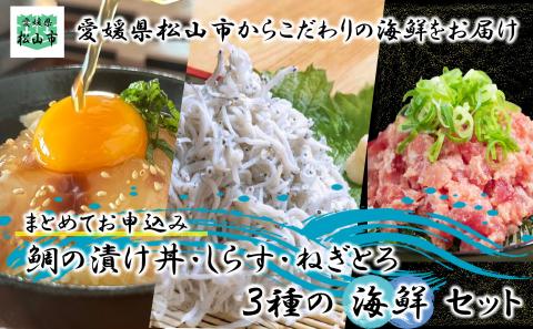 [まとめてお申込み]松山海鮮セット 鯛の漬け丼 しらす ねぎとろ 愛媛県 松山市 海鮮 魚介 新鮮 ねぎとろ,まぐろ,ねぎとろ