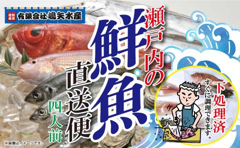 [嶋矢水産] 瀬戸内の鮮魚 直送便 下処理済み 産地直送 20000円 台 四人前 刺身 煮魚 焼き魚 瀬戸内海 愛媛 松山 老舗 魚 人気