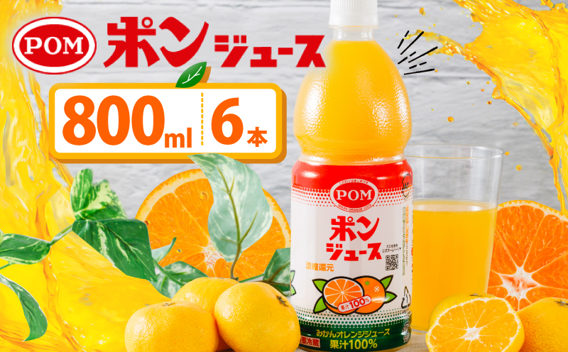 ポンジュース 4.8L ( 800ml × 6本 ) みかん ジュース みかんジュース オレンジジュース