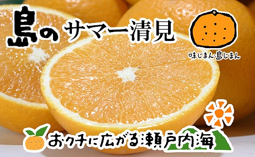 サマー清見 4kg [2025年4月上旬から発送予定] 愛媛 中島産 愛媛県産 みかん 柑橘 希望の島