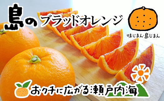 ブラッドオレンジ(タロッコ) 3kg [3月中旬から発送予定] 愛媛 中島産 希望の島