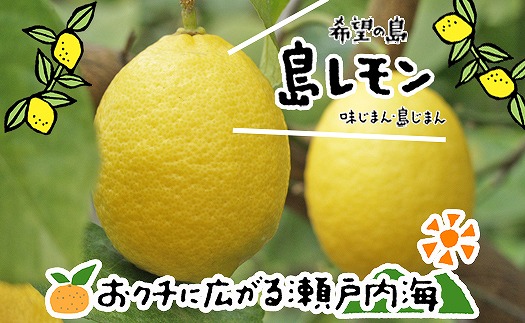 レモン 3kg [10月中旬から発送予定] 愛媛 中島産 柑橘 レモン 希望の島
