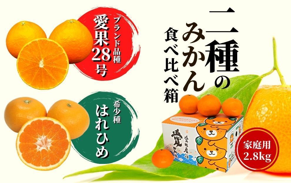 [早期予約受付中!2024年12月〜順次発送]二種のみかん食べ比べ箱 愛果28号・はれひめ(家庭用)約 2.8kg