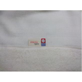 ( 今治タオル ) 裏ガーゼ タオルケット 【IE05720】