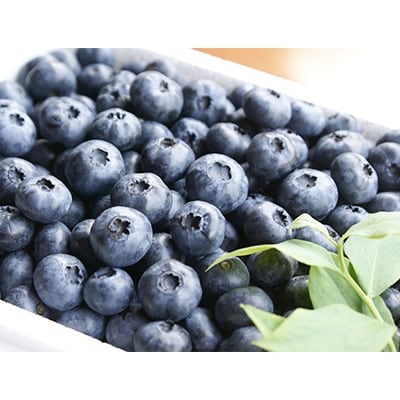 しまなみ野菜と果物セット(おまかせ)【C89】【配送不可地域：離島】