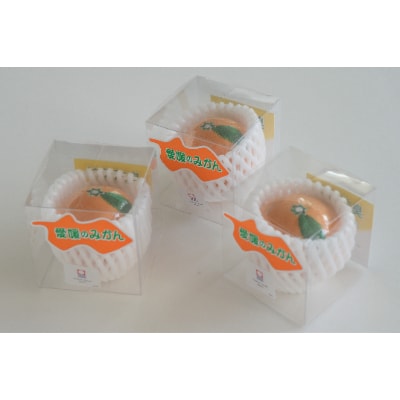 ( 今治タオル ) みかん ハンカチ 3個 セット 【IA05350】