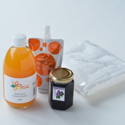 アイアイ今治セットA　今治のとろけるフルーツと今治タオルセット