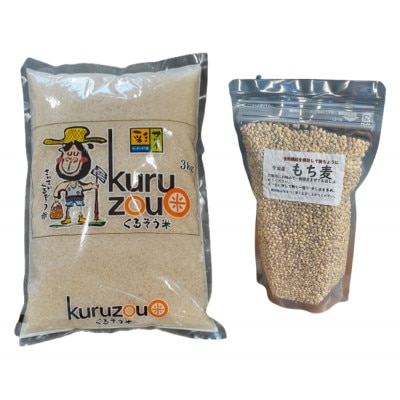 今治産　もち麦・米セット【LB01310】