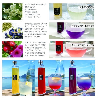 レモンコーディアル・レギュラーボトル3本セット