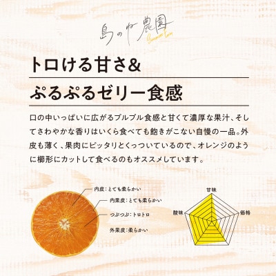 【訳あり】先行受付 島のね農園のまどんな(5kg)【KB01620】