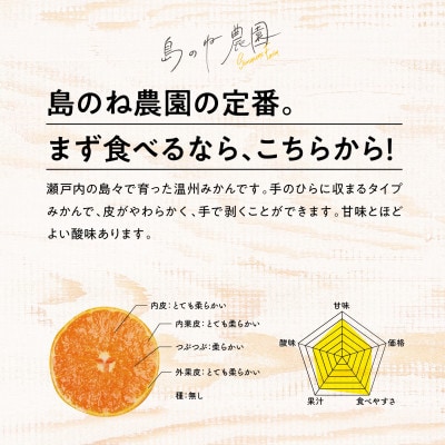 【先行受付】島のね農園 みかん5kg【KB01630】