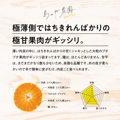 【先行受付】(訳あり)島のね 甘平(4kg)【KB01600】