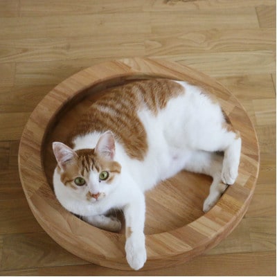 ネコマル/丸型ペット用ベッド【VE00830】