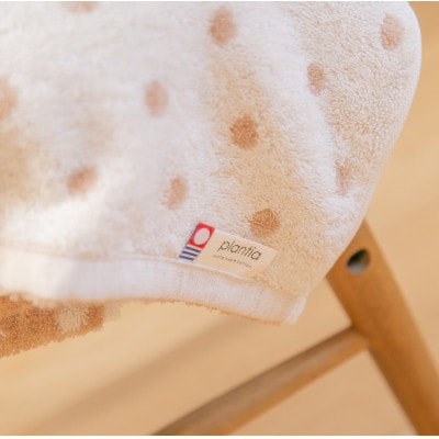 ( 今治タオル ) ドットオーガニック フェイスタオル 2枚セット【IA05080FT2】