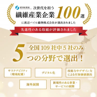 (今治タオル)しっかりサマルカンドフェイスタオル 2枚 ブルー【IA05290FT2BL】