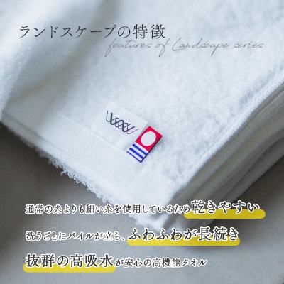 (今治タオル)ランドスケープスポーツタオル 1枚 グリーン【IA05210G】