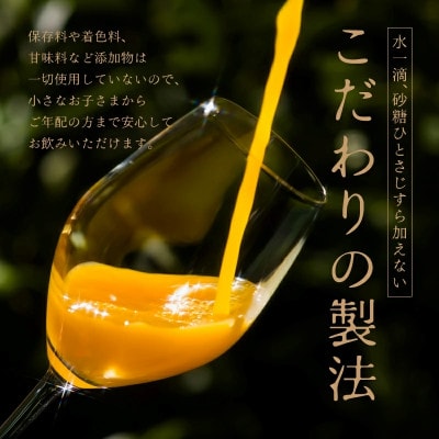 のま果樹園のみかんジュース「ガーディ・オレ・スペシャル」720ml×6本【V003030SET6】