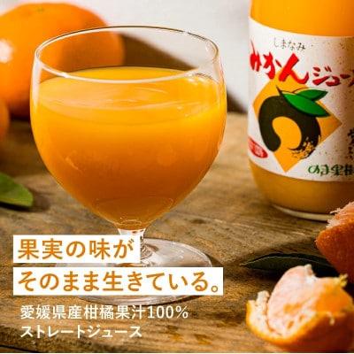 のま果樹園のしまなみみかんジュース 500ml/6本【V003020SET6】
