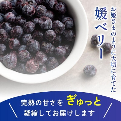 冷凍ブルーベリー(スタンディングパック)150g×3パック [VB00780]【配送不可地域：離島】
