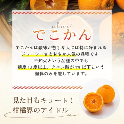 【先行予約】【数量限定】ホリ田ヤ でこかん 2.5kg【K002430】