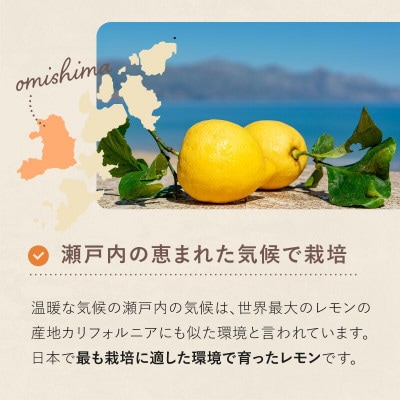 【数量限定】ホリ田ヤ 皮ごと食べられる島育ちレモン2.5kg【K002450】