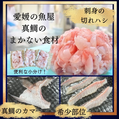 さかなやのまかない食材【愛媛の真鯛】生食用切り落とし1パック付き【V001740】【配送不可地域：離島】