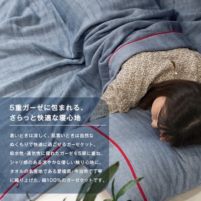 (今治タオル)ビレア ガーゼケット 1枚(グレー)【I003440KT1GY】