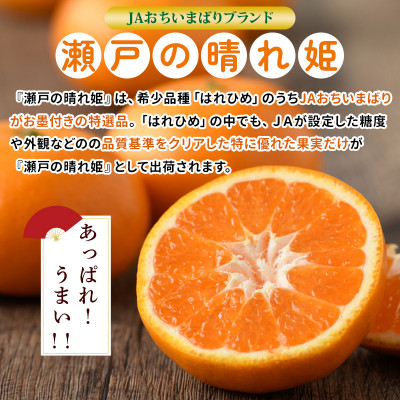 【先行受付】JAおちいまばり 瀬戸の晴れ姫(はれひめ)4kg、12月～1月に発送