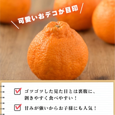 【先行予約】デコポン 3L～L 18～24玉 不知火 国産 柑橘 KB02510