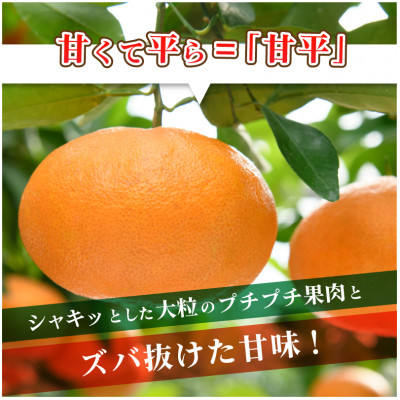 【先行受付】甘平 (化粧箱入) 高級柑橘 4L～2L 8～12玉 かんぺい KC00640