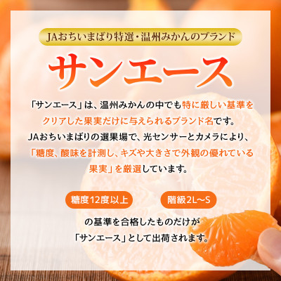 【先行受付】特選 ブランド温州みかん「サンエース」4kg 高糖度 みかん KB02210【配送不可地域：離島】