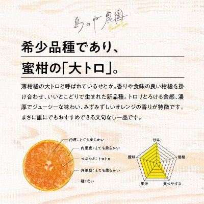 【島のね農園ブランド】(訳あり)島のね せとか(4kg)【KB01610】