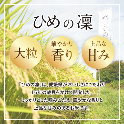 令和7年産米「ひめの凜」10kg【VB01580】