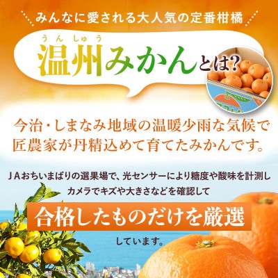 【先行予約】温州みかん 10kg L~Sサイズ　JA選果品【KC00760】