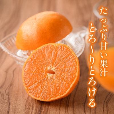 【宗方印】【数量限定】せとか 約1.5kg(家庭用) 【K003570K1.5】