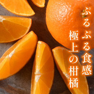 【宗方印】【数量限定】宗方のまどんな 約1.5kg(家庭用) 【K003600K1.5】